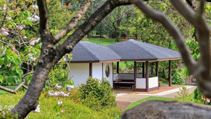 Japanese Garden - Cowra 